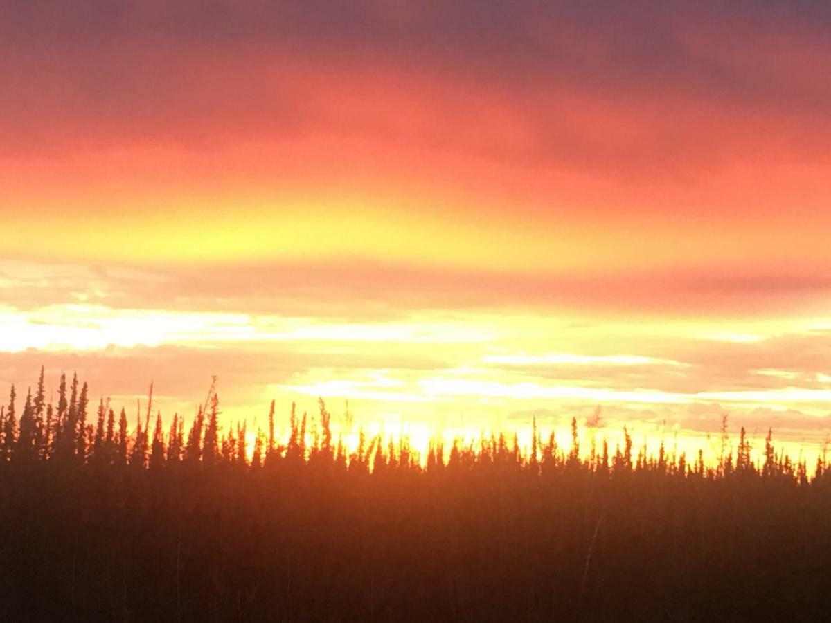 Fireweed Roadhouse Villa Nenana Екстериор снимка