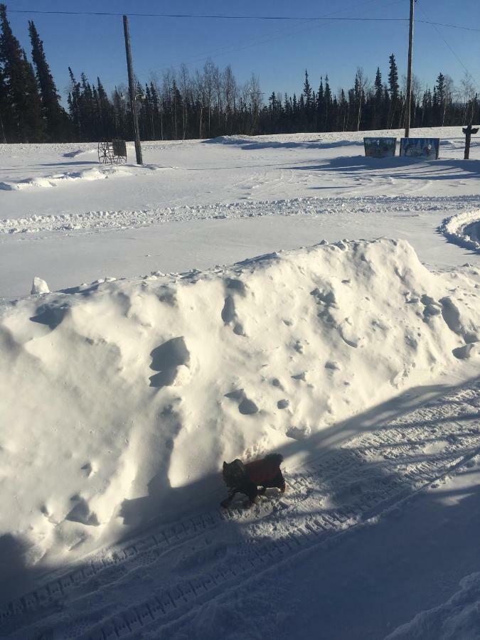 Fireweed Roadhouse Villa Nenana Екстериор снимка