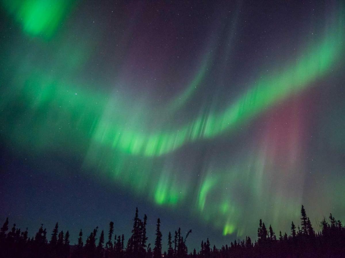 Fireweed Roadhouse Villa Nenana Екстериор снимка