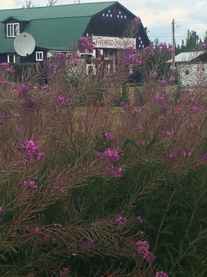 Fireweed Roadhouse Villa Nenana Екстериор снимка